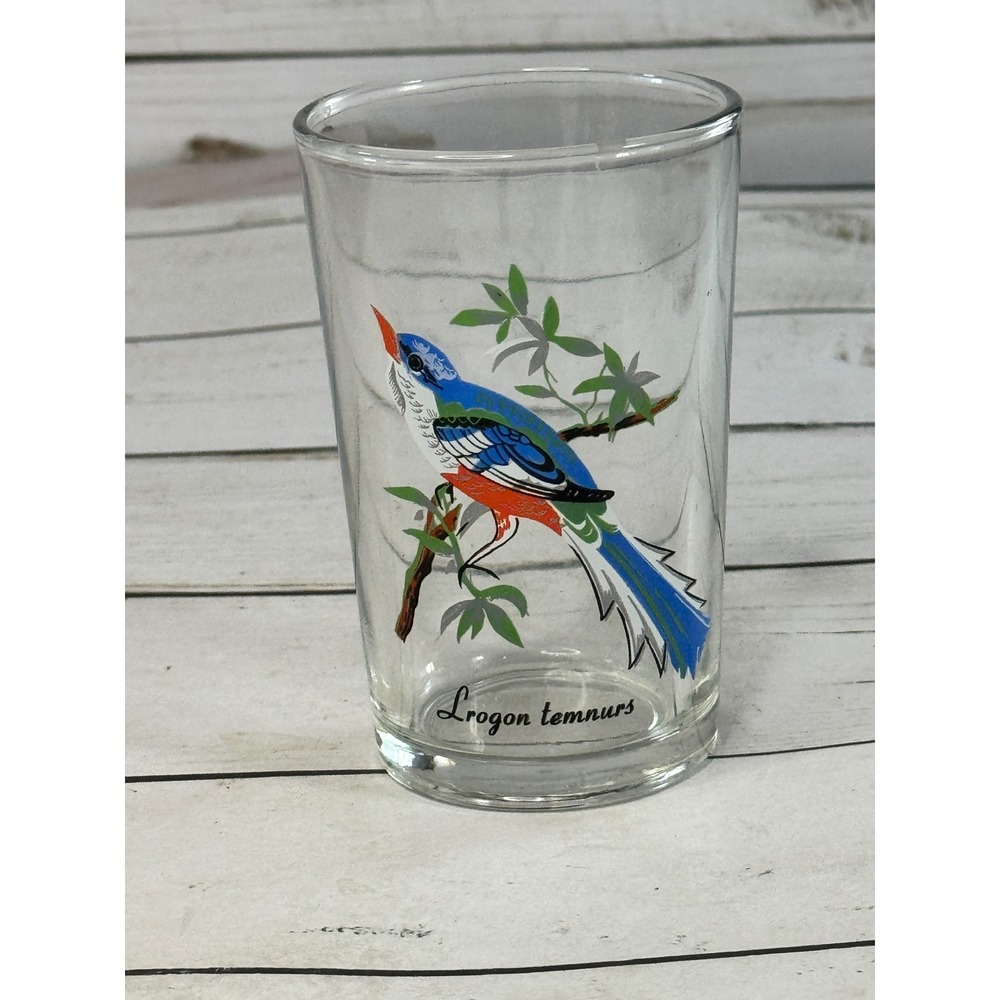 Kig Malaysia Tropical Bird Juice Glass Trogon Temnurus Cuban Trogon Vtg 4 1/2"